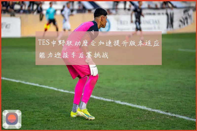TES中野联动磨合加速提升版本适应能力迎接季后赛挑战
