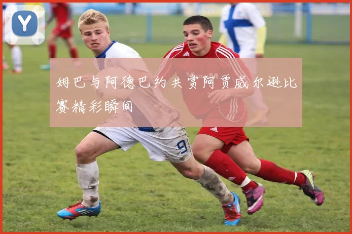 姆巴与阿德巴约共赏阿贾威尔逊比赛精彩瞬间