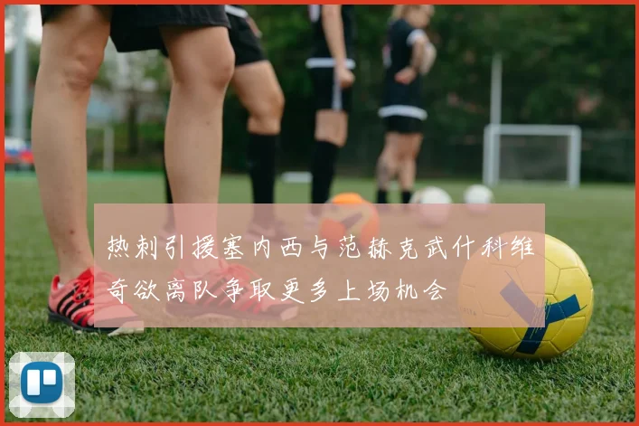 热刺引援塞内西与范赫克武什科维奇欲离队争取更多上场机会